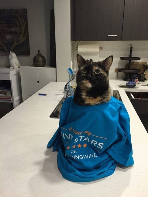 NWR: Update: A New Use For WW 5 Star Shirt