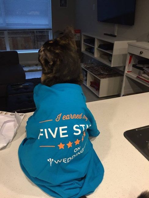 NWR: Update: A New Use For WW 5 Star Shirt