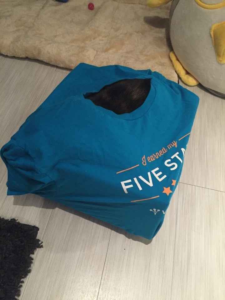 NWR: A New Use For WW 5 Star Shirt