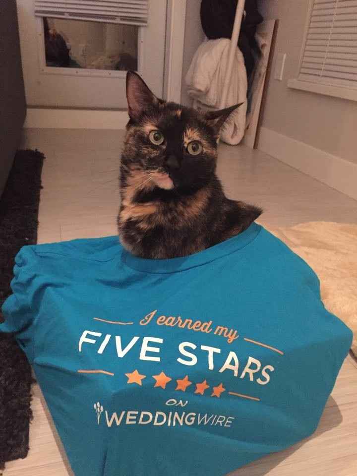 NWR: A New Use For WW 5 Star Shirt