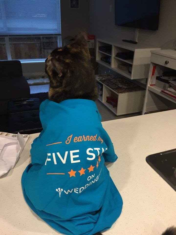 NWR: Update: A New Use For WW 5 Star Shirt