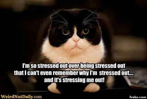 KWR: What's Your Stress Reliever?