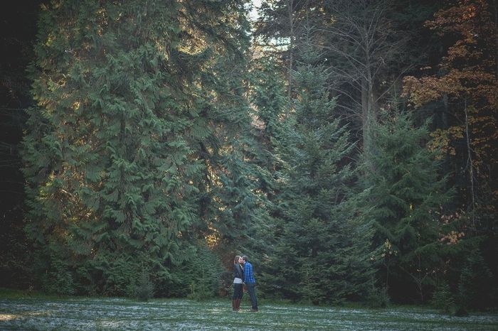 Save The Date/Christmas Photoshoot (Pic Heavy)