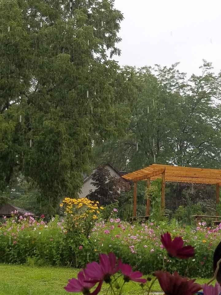 I went to a self-catered, friendored, backyard wedding in the rain