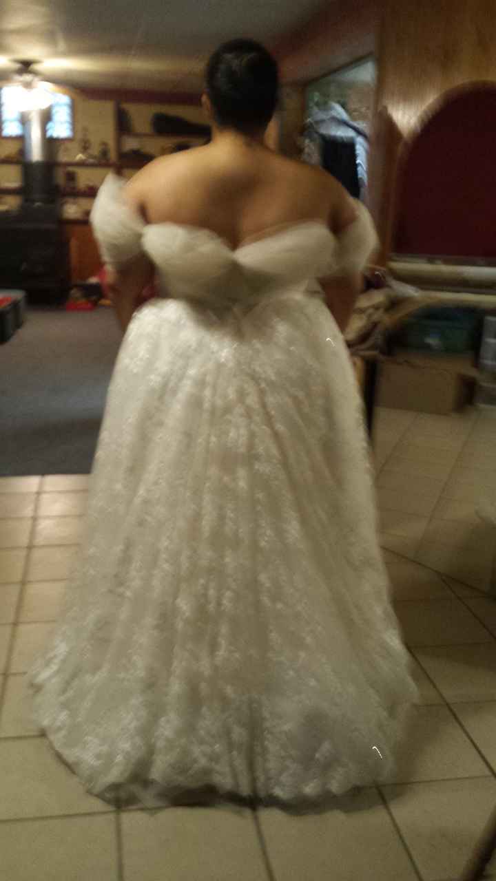 Show me your bustles