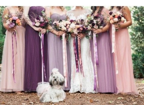 Dusty blue, sage green, and ivory wedding colors. Need some inputs on bridemaid dress color - 1