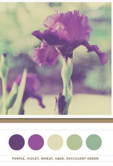 Wedding colors - 1