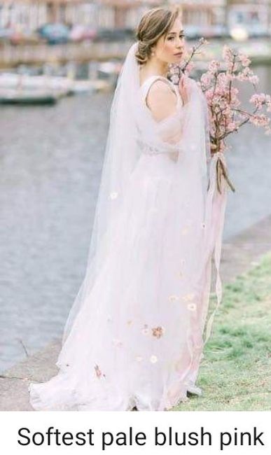White veil with ivory dress? - 2