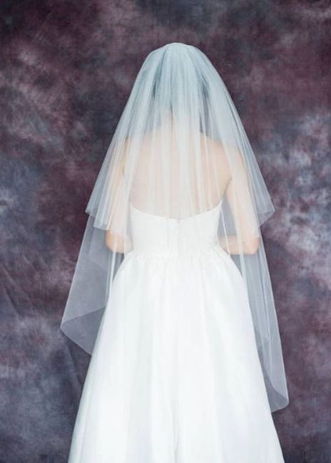 White veil with ivory dress? - 3