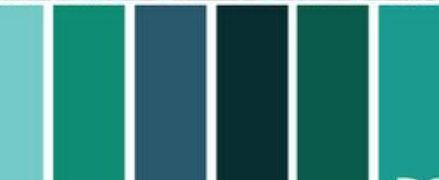 Color Scheme / Attire - 1