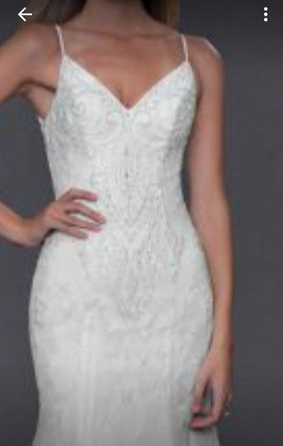 Said Yes to the Dress! But have some thoughts... - 2