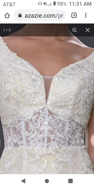 Said Yes to the Dress! But have some thoughts... - 1