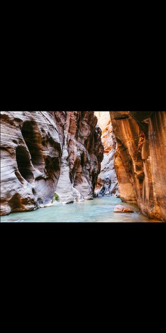 Chicago --> National Park Road Trip? - 1