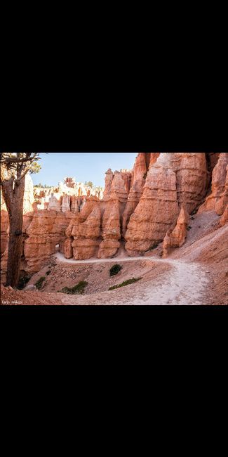 Chicago --> National Park Road Trip? - 5