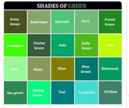 Bridesmaids dresses - 3