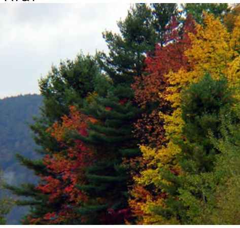New England Waterfront Fall Wedding Colors - 1