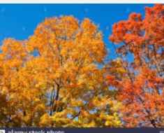 New England Waterfront Fall Wedding Colors - 2