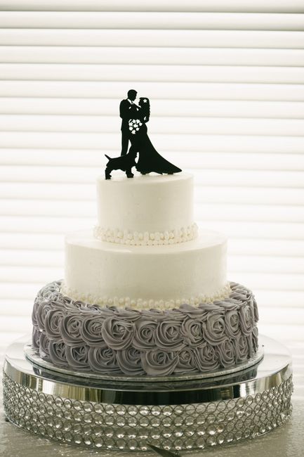 Cake cake cake . Show me your cake .