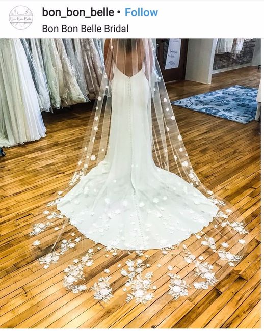 Your Veil: What, Where, How Much? 12