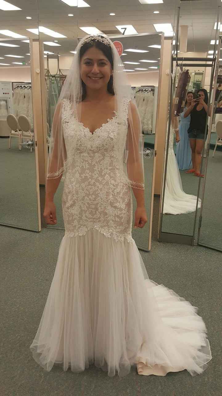 To veil or NOT to veil. .