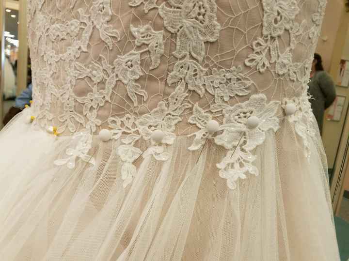 Cut Dress or Get Bustle?