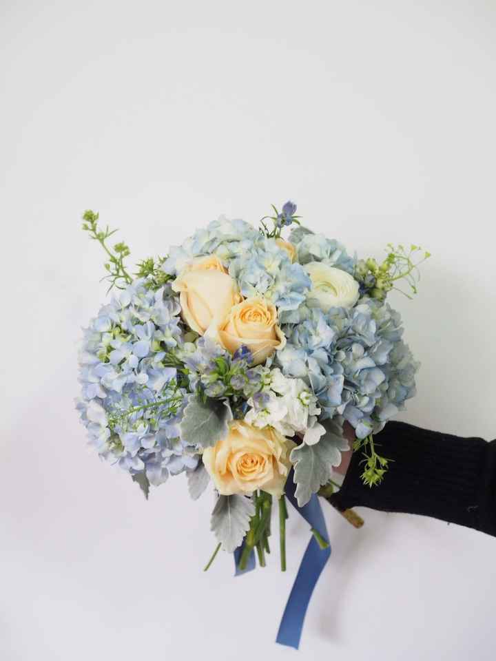 COLOR SCHEME HELP? WHAT ARE YOUR COLORS?