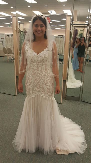 To veil or NOT to veil. .