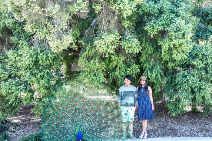 Favorite picture of you and your SO (photo request)