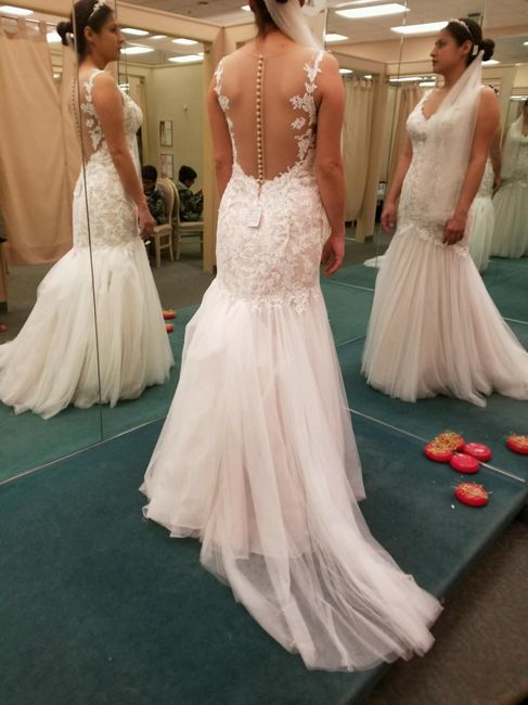 Davids Bridal Dresses!