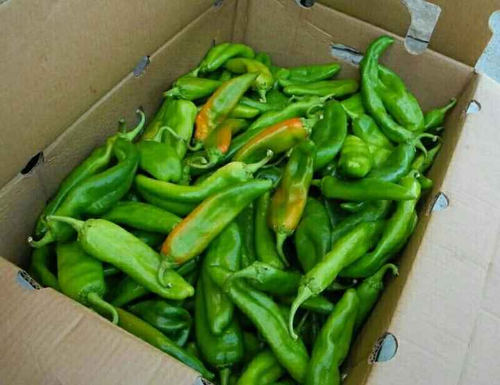 NWR: Hatch Green Chilis Are Here! Any Recipes?