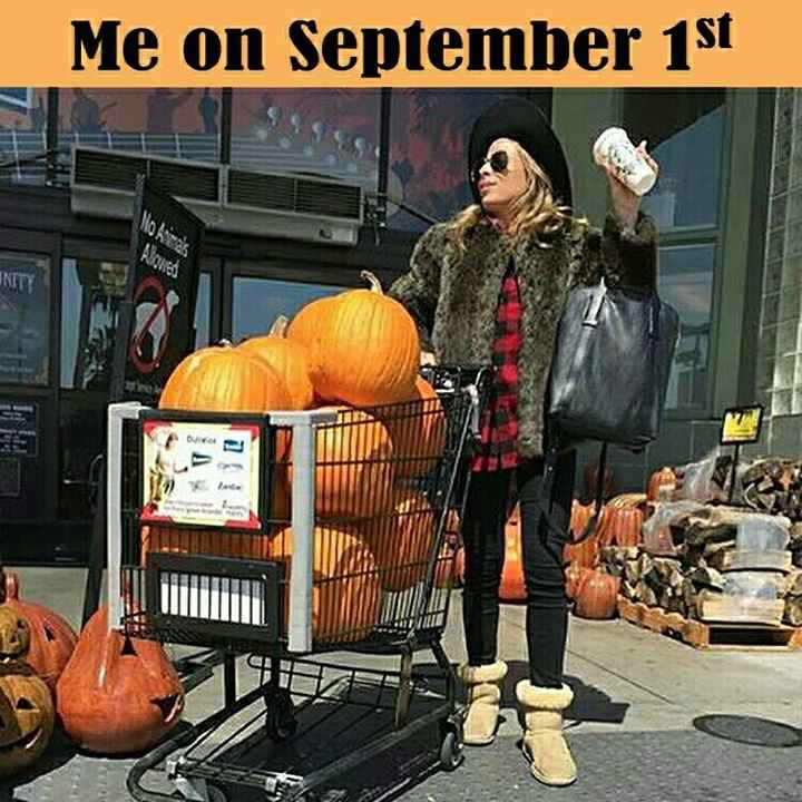 NWR: Pumpkin Spice Lattes are now back in Starbucks!!