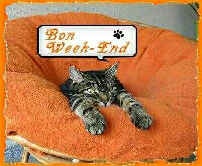 Weekend Chat