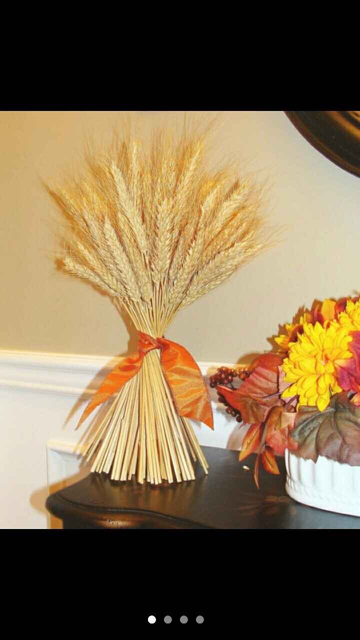 Dried Gold Wheat