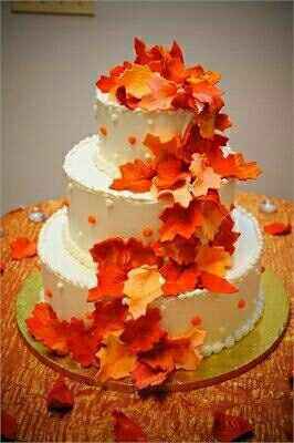Cake cake cake . Show me your cake .