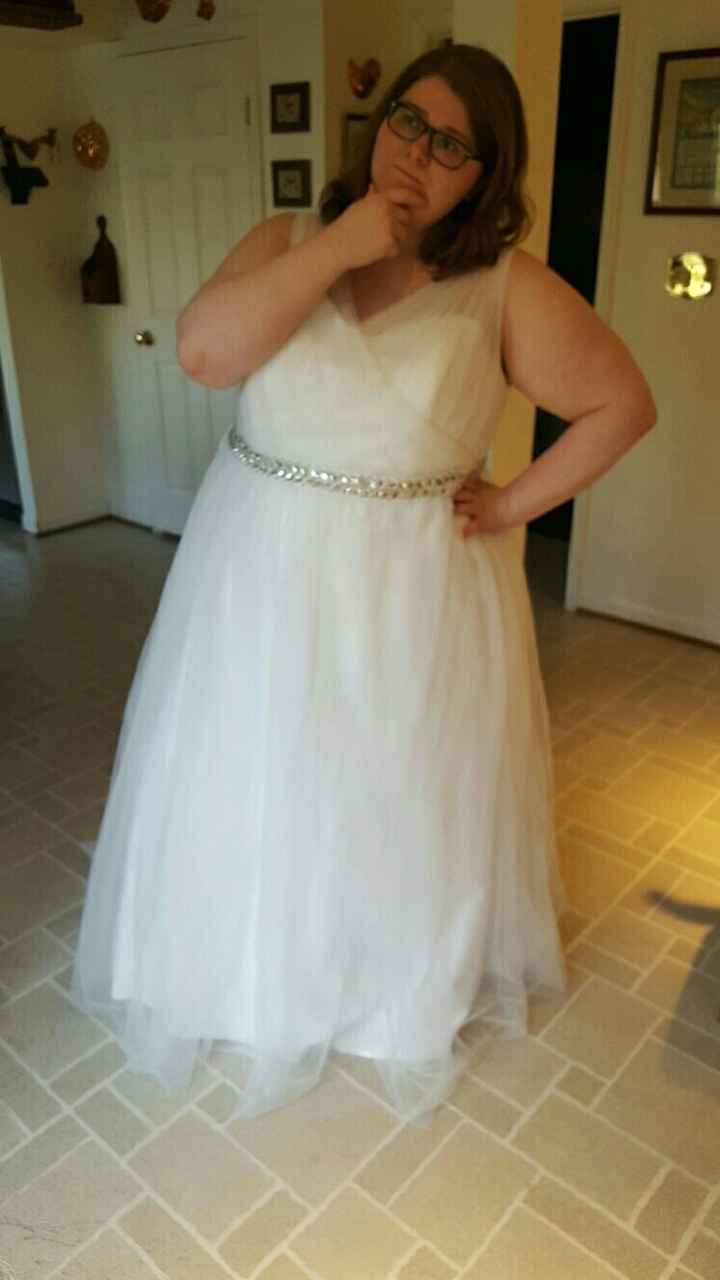 My Azazie Dresses Sample Came in!