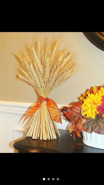 Dried Gold Wheat