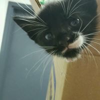 Working on our wedding website's About Us section. Is this dumb?