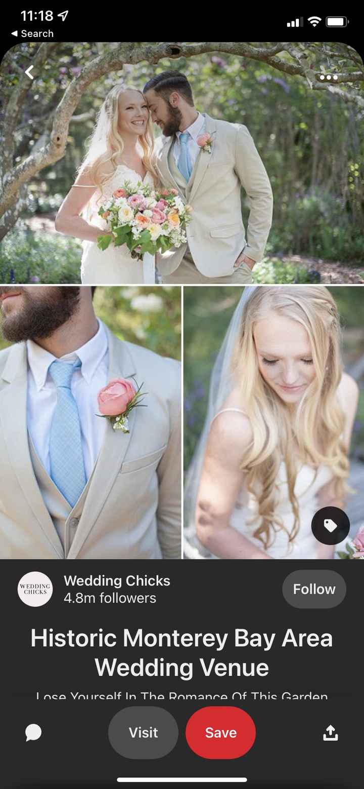 Wedding colors/decor/wedding party advice - 4