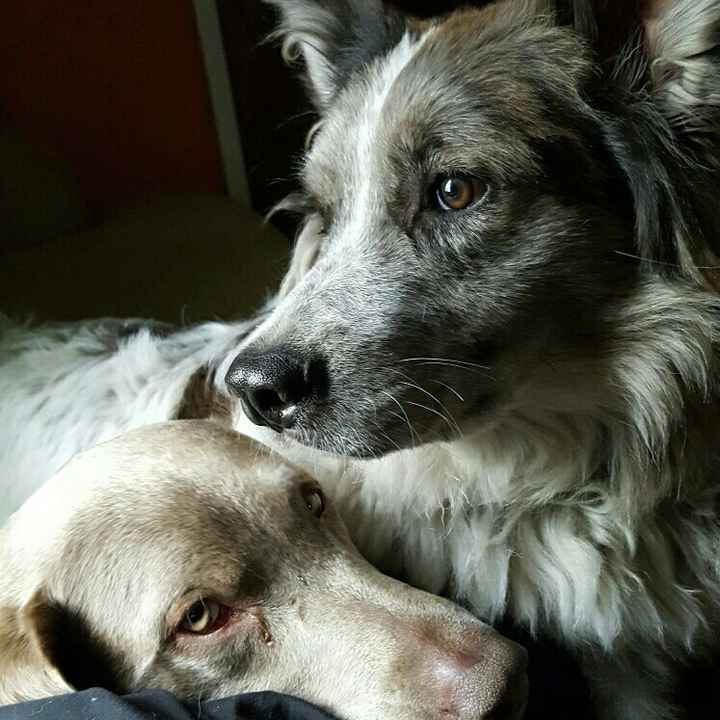 NWR: you and furbaby pic!