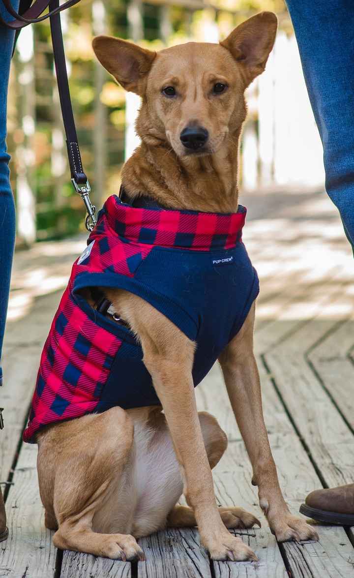 NWR: Our fur baby is going to the big dog park in the sky :(