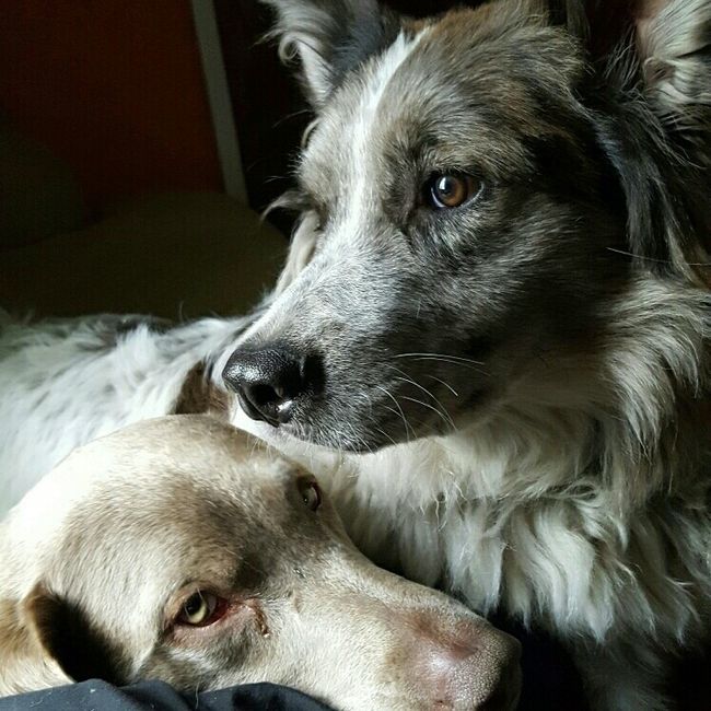 NWR: you and furbaby pic!