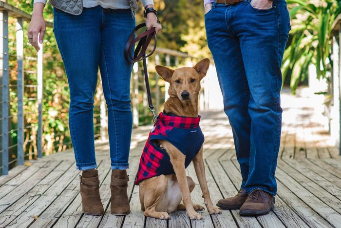 Nwr- show me your fur babies
