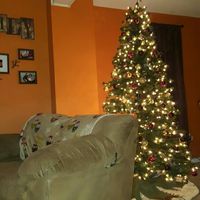 NWR: Finally finished decorating our first Christmas tree!!