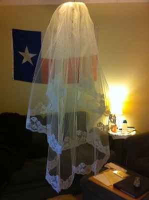 My veil came in today!!!