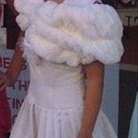 Veil/headpiece to wear with purple wedding dress?