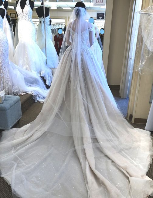 What kind of veil will go with my dress? 2