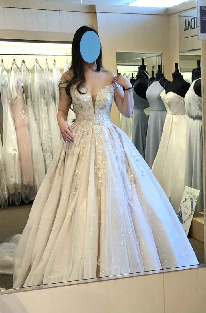 What kind of veil will go with my dress? - 1