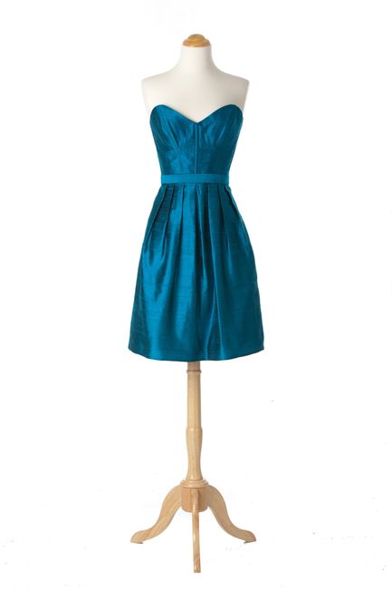Coordinating Bridesmaids Dresses and Wedding Gown