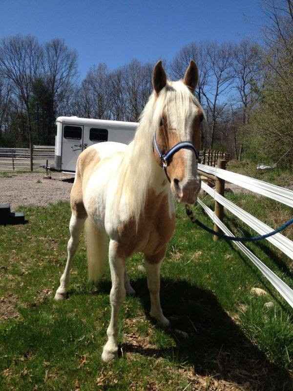 NWR: Any Horse Women?