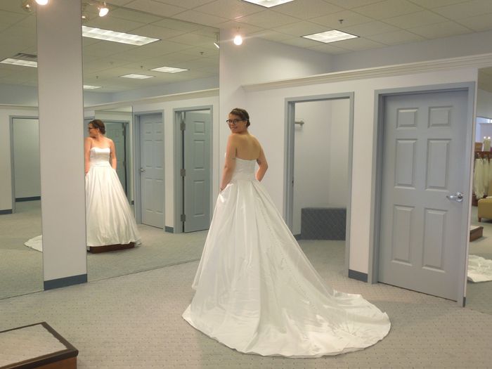My Dress is In!! (with pics)